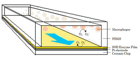 microfluidic